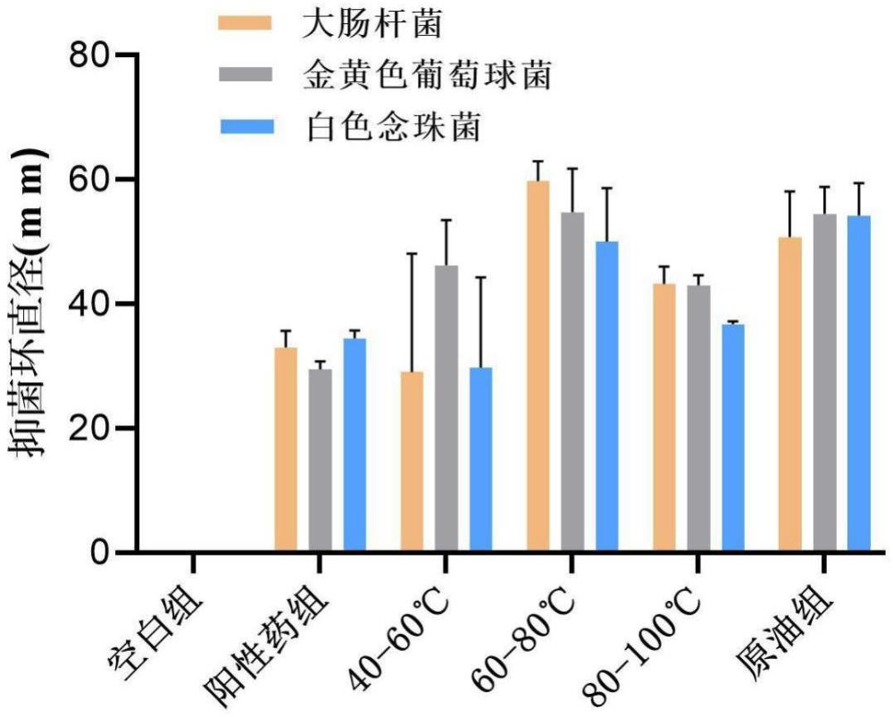 一种青蒿挥发油、青蒿挥发油馏分及其制备方法与应用与流程