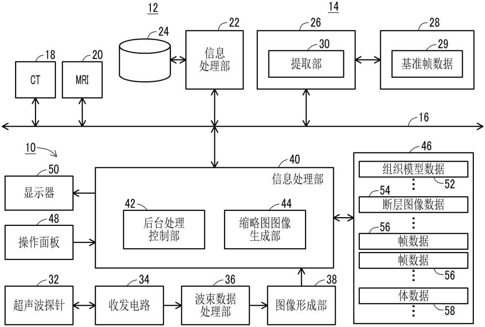 超声波诊断系统及提取装置的制作方法