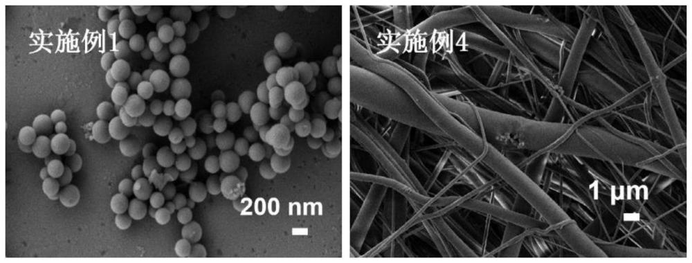 一种高活性热塑性聚氨酯骨修复膜及其制备方法、应用