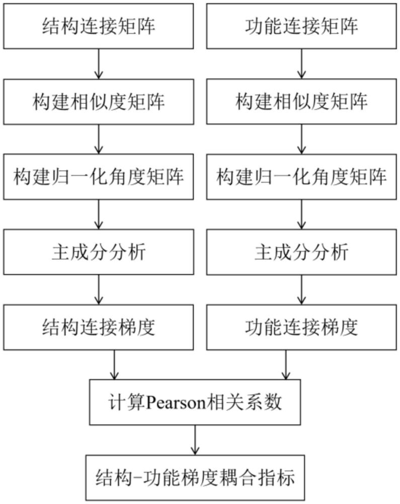 基于脑网络梯度的大脑结构-功能耦合的定量方法及装置