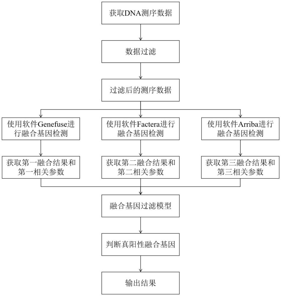 一种基于DNA-based测序数据检测融合基因的方法与流程