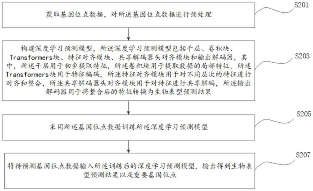一种基于深度学习的生物表型预测及基因位点筛选方法与流程