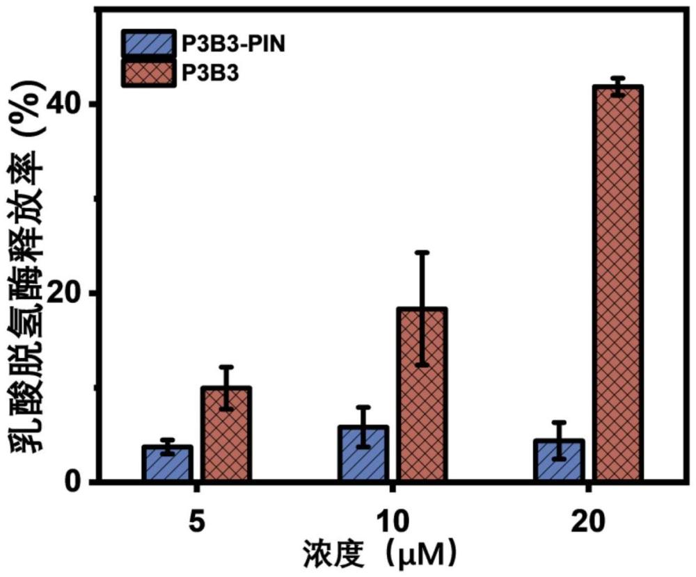 1,3,5-三(4-硼酸苯基)苯在制备细胞焦亡诱导剂中的应用