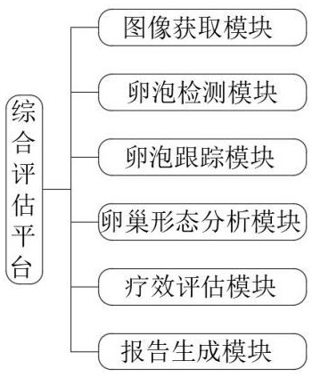 基于B超图像的多囊卵巢综合征疗效评估系统